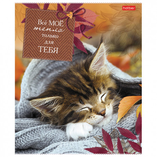 Тетрадь А5, 40 л., HATBER, скоба, клетка, обложка картон, Без кота - жизнь не та (5 видов), 40Т5В1