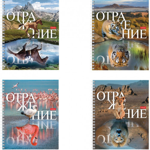 Тетрадь А5 48 л. HATBER гребень, клетка, обложка картон, Отражение (4 вида в спайке), 48Т5В1гр
