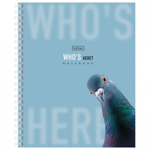Тетрадь А5 48 л. HATBER гребень, клетка, Soft-touch ламинация, Кто здесь? (микс в спайке), 48Т5лВ1гр