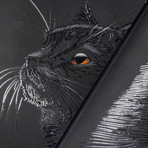 Тетрадь А5 48л. HATBER скоба, клетка, матовая ламинация, 3D лак, Black Cat (микс в сп, 48Т5лолВ1