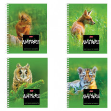Тетрадь А5, 48 л., HATBER, гребень, клетка, обложка картон, WILD NATURE (4 вида), 48Т5В1гр, T243190 Тетрадь А5, 48 л., HATBER, гребень, клетка, обложка картон, WILD NATURE (4 вида), 48Т5В1гр, T243190