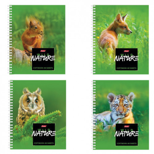 Тетрадь А5, 48 л., HATBER, гребень, клетка, обложка картон, WILD NATURE (4 вида), 48Т5В1гр, T243190