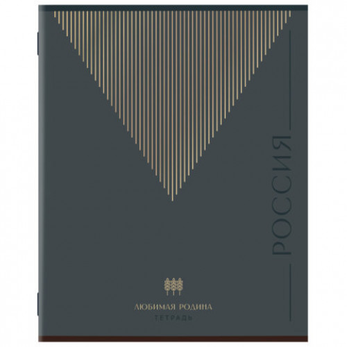 Тетрадь А5 48 л. STAFF College скоба, линия, офсет №2 ЭКОНОМ, обложка картон, РОДИНА, 405629