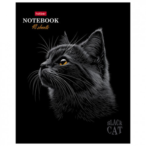 Тетрадь А5 48л. HATBER скоба, клетка, матовая ламинация, 3D лак, Black Cat (микс в сп, 48Т5лолВ1
