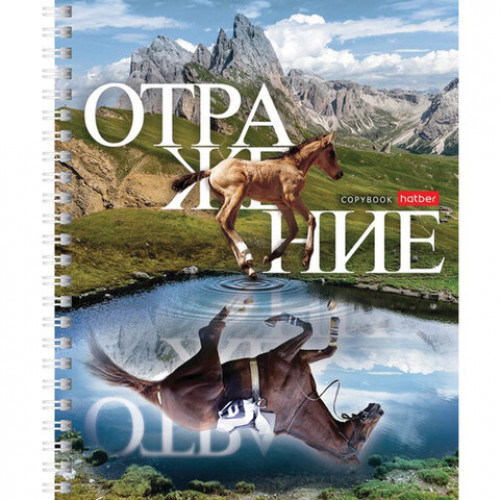 Тетрадь А5 48 л. HATBER гребень, клетка, обложка картон, Отражение (4 вида в спайке), 48Т5В1гр