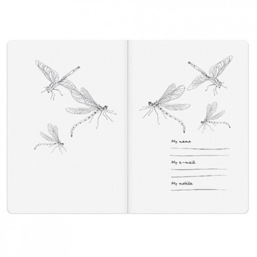 Тетрадь ЕВРО А5 40 л. BRUNO VISCONTI сшивка, клетка, Soft Touch, бежевая бумага 70 г/м2, DRAGONFLY, 7-40-001/04