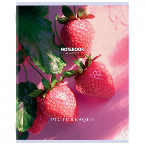 Тетрадь А5 48 л. STAFF College, скоба, клетка, офсет №2 ЭКОНОМ, обложка картон, ПРИРОДА, 405626