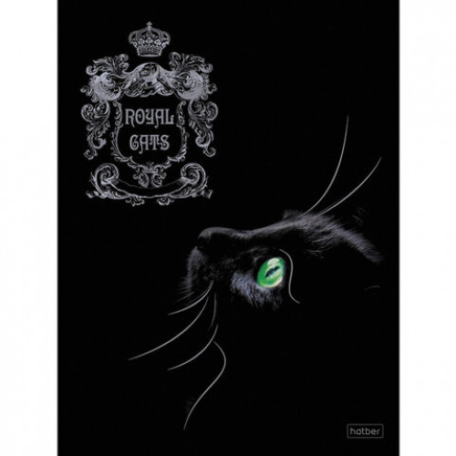 Тетрадь А5, 48 л., HATBER, скоба, клетка, матовая ламинация, 3D, RoyalCats (5 видов в спайке), 48Т5лофл