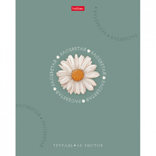 Тетрадь А5, 48 л., HATBER, скоба, клетка, soft-touch ламинация, тиснение, Нежное очарование (микс), 095022, 48Т5лтВ1