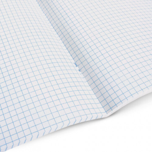 Тетрадь А5 48 л. STAFF College, скоба, клетка, офсет №2 ЭКОНОМ, обложка картон, РОДИНА, 405625