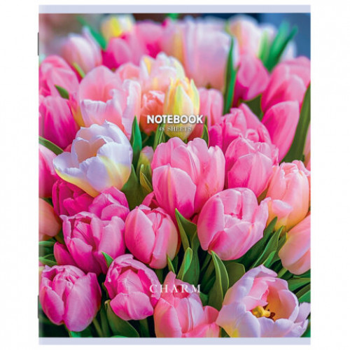 Тетрадь А5 48 л. STAFF College, скоба, клетка, офсет №2 ЭКОНОМ, обложка картон, ПРИРОДА, 405626