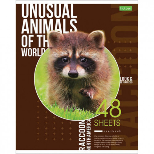 Тетрадь А5 48 л. HATBER-ECO, скоба, клетка, обложка картон, Animals, 48Т5C1