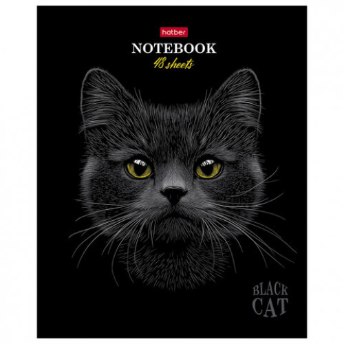 Тетрадь А5 48л. HATBER скоба, клетка, матовая ламинация, 3D лак, Black Cat (микс в сп, 48Т5лолВ1