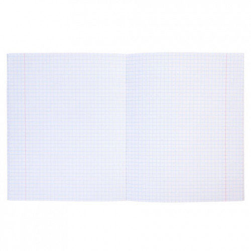 Тетрадь бумвинил А5 48л. скоба, офсет №1, клетка, с полями, СЕРЕБРО Metallic CROCO, H, 48Т5бвВ1