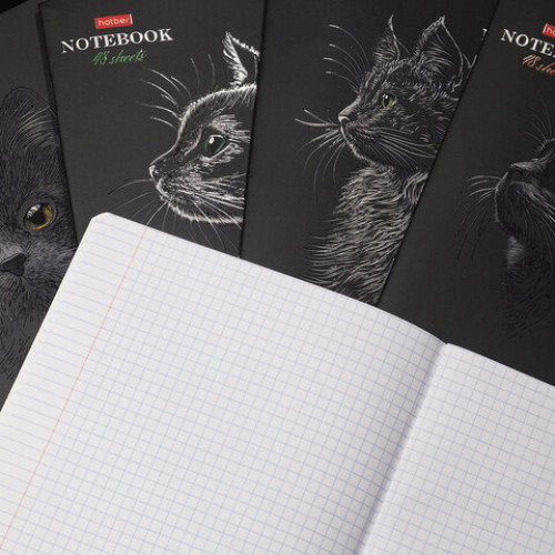 Тетрадь А5 48л. HATBER скоба, клетка, матовая ламинация, 3D лак, Black Cat (микс в сп, 48Т5лолВ1