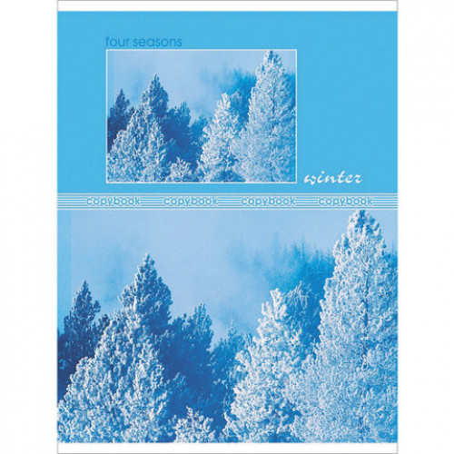 Тетрадь А5, 48 л., HATBER-ECO, скоба, офсет №2 ЭКОНОМ, клетка, обложка картон, Seasons, 48Т5D1
