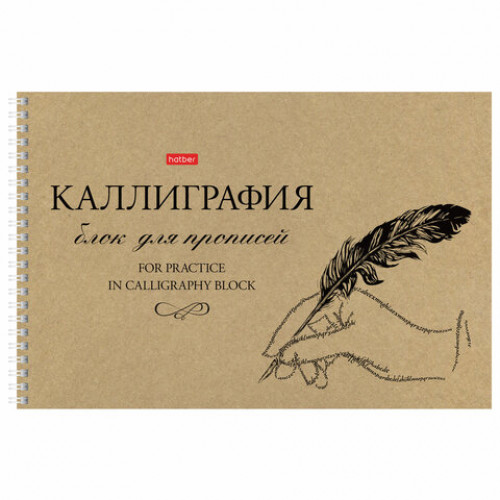 Тетрадь для каллиграфии и леттеринга А4 30 л. HATBER гребень, бумага 100 г/м2, Пиши красиво, 30Тп4тВ5гр, 30Тп4тВ5гр_2237
