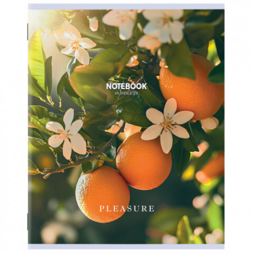 Тетрадь А5 48 л. STAFF College, скоба, клетка, офсет №2 ЭКОНОМ, обложка картон, ПРИРОДА, 405626