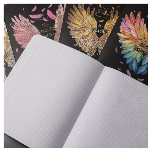 Тетрадь А5 48л. HATBER скоба, клетка, матовая ламинация, 3D фольга, Крылья ангела (ми, 48Т5лофВ1