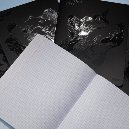 Тетрадь А5 48л. HATBER скоба, клетка, матовая ламинация, 3D лак, Shadow (микс в спайк, 48Т5лолВ1