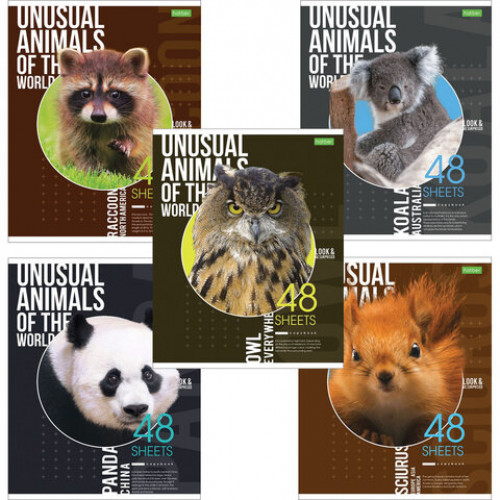 Тетрадь А5 48 л. HATBER-ECO, скоба, клетка, обложка картон, Animals, 48Т5C1