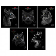 Тетрадь А5 48л. HATBER скоба, клетка, матовая ламинация, 3D лак, Black Cat (микс в сп, 48Т5лолВ1