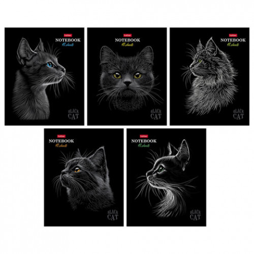 Тетрадь А5 48л. HATBER скоба, клетка, матовая ламинация, 3D лак, Black Cat (микс в сп, 48Т5лолВ1