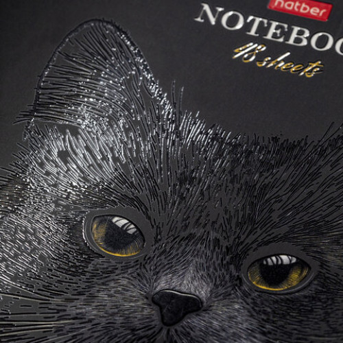 Тетрадь А5 48л. HATBER скоба, клетка, матовая ламинация, 3D лак, Black Cat (микс в сп, 48Т5лолВ1