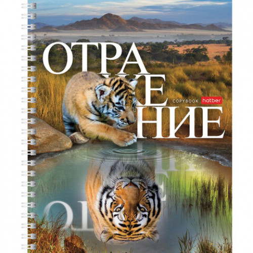 Тетрадь А5 48 л. HATBER гребень, клетка, обложка картон, Отражение (4 вида в спайке), 48Т5В1гр