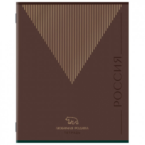 Тетрадь А5 48 л. STAFF College, скоба, клетка, офсет №2 ЭКОНОМ, обложка картон, РОДИНА, 405625
