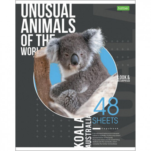 Тетрадь А5 48 л. HATBER-ECO, скоба, клетка, обложка картон, Animals, 48Т5C1