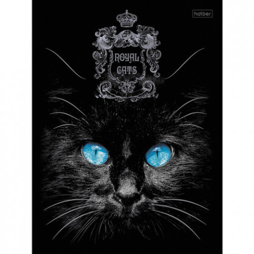 Тетрадь А5, 48 л., HATBER, скоба, клетка, матовая ламинация, 3D, RoyalCats (5 видов в спайке), 48Т5лофл