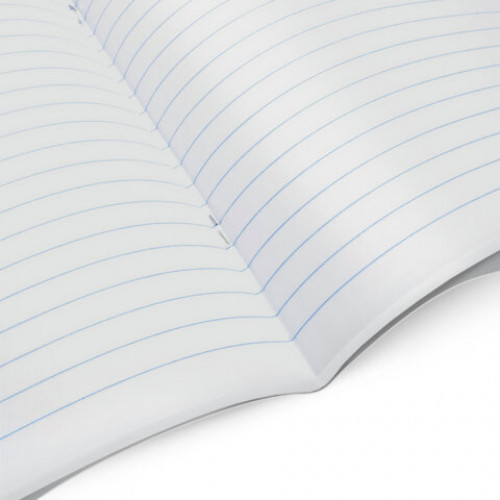 Тетрадь А5 48 л. STAFF College скоба, линия, офсет №2 ЭКОНОМ, обложка картон, РОДИНА, 405629