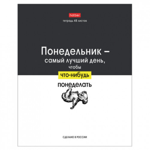Тетрадь А5 48л. HATBER скоба, клетка, обложка картон, Люблю школу (микс в коробе), 078565, 48Т5В1
