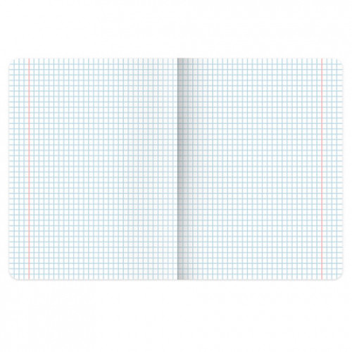 Тетрадь А5, 48 л., BRAUBERG, скоба, клетка, матовая ламинация, Восточная девушка (микс в спайке), 405647