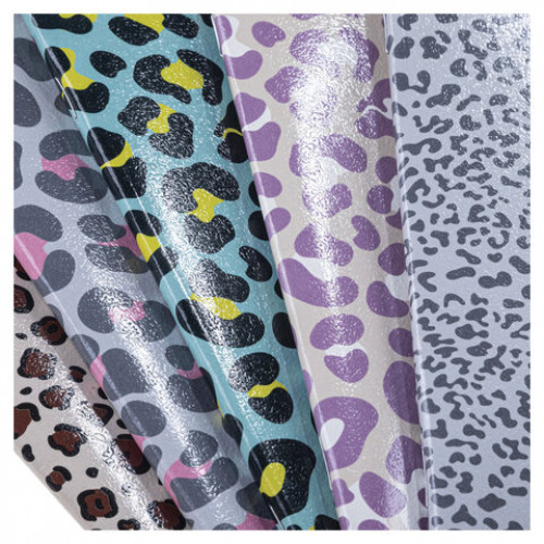 Тетрадь А5 48л. HATBER скоба, клетка, обложка картон, тиснение, LEO-принт (микс в спа, 48Т5тВ1