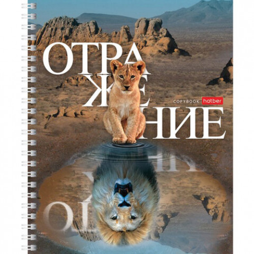 Тетрадь А5 48 л. HATBER гребень, клетка, обложка картон, Отражение (4 вида в спайке), 48Т5В1гр