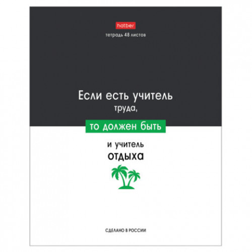 Тетрадь А5 48л. HATBER скоба, клетка, обложка картон, Люблю школу (микс в коробе), 078565, 48Т5В1