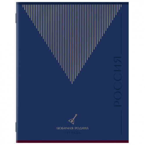 Тетрадь А5 48 л. STAFF College скоба, линия, офсет №2 ЭКОНОМ, обложка картон, РОДИНА, 405629