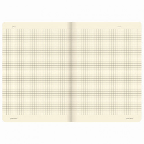Тетрадь 48 л. в клетку обложка кожзам SoftTouch, сшивка, A5 (147х210мм), РОЗОВЫЙ, BRAUBERG RAINBOW, 403879