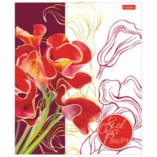 Тетрадь А5, 48 л., HATBER, скоба, клетка, 3D фольга, Painted Flowers (5 видов в спайке), 48Т5лофВ1
