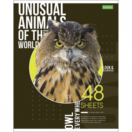 Тетрадь А5 48 л. HATBER-ECO, скоба, клетка, обложка картон, Animals, 48Т5C1