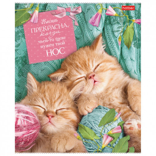 Тетрадь А5, 40 л., HATBER, скоба, клетка, обложка картон, Без кота - жизнь не та (5 видов), 40Т5В1