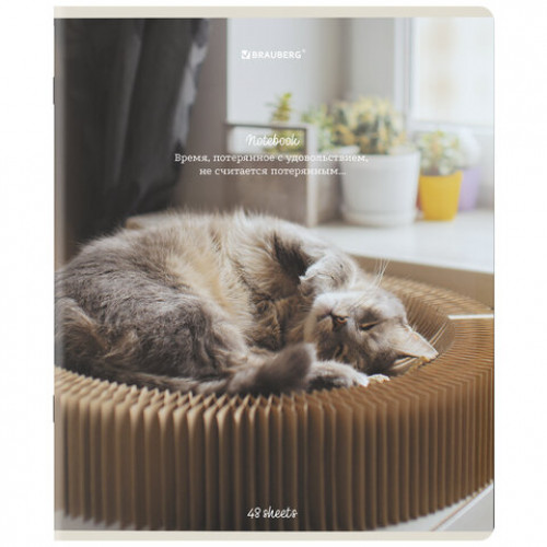 Тетради ДЭК А5 48 л. КОМПЛЕКТ 5 шт. BRAUBERG, клетка, матовая ламинация, Cats, 404673