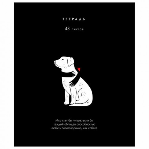 Тетрадь А5 48 л. ПЗБМ, скоба, клетка, матовая ламинация, брайль, Всё, что тебе нужно (микс в ПУ), 23454
