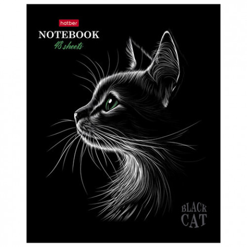 Тетрадь А5 48л. HATBER скоба, клетка, матовая ламинация, 3D лак, Black Cat (микс в сп, 48Т5лолВ1