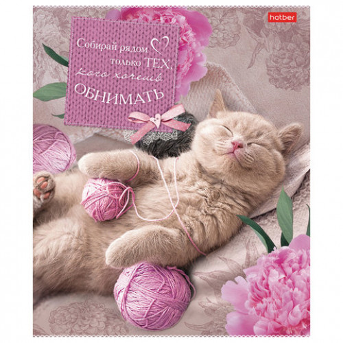 Тетрадь А5, 40 л., HATBER, скоба, клетка, обложка картон, Без кота - жизнь не та (5 видов), 40Т5В1