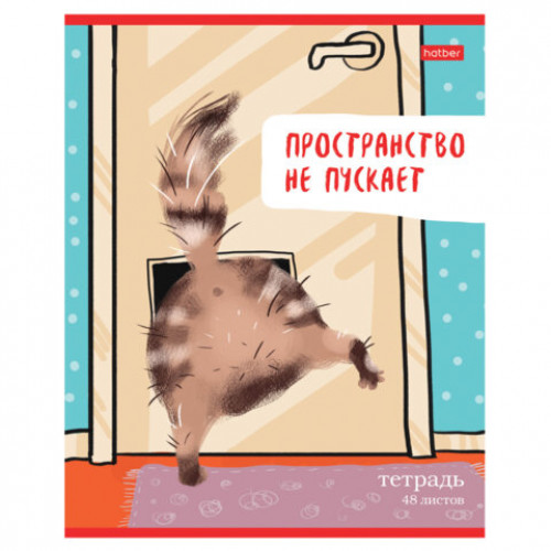 Тетрадь А5 48л. HATBER скоба, линия, обложка картон, Кот-обормот (микс в спайке), 080206, 48Т5В2