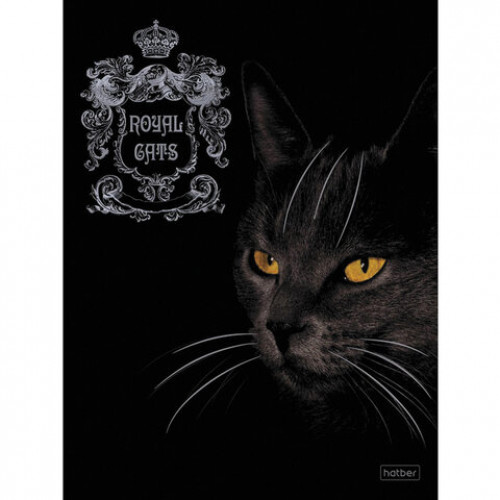 Тетрадь А5, 48 л., HATBER, скоба, клетка, матовая ламинация, 3D, RoyalCats (5 видов в спайке), 48Т5лофл
