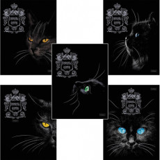 Тетрадь А5, 48 л., HATBER, скоба, клетка, матовая ламинация, 3D, RoyalCats (5 видов в спайке), 48Т5лофл Тетрадь А5, 48 л., HATBER, скоба, клетка, матовая ламинация, 3D, RoyalCats (5 видов в спайке), 48Т5лофл